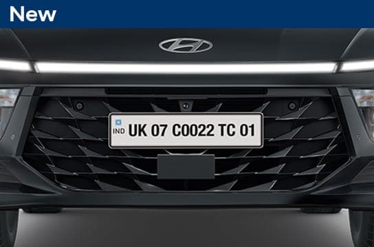Black chrome radiator grille