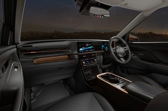 All black interiors with brass colored insert