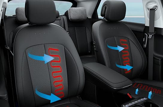 Interior 4