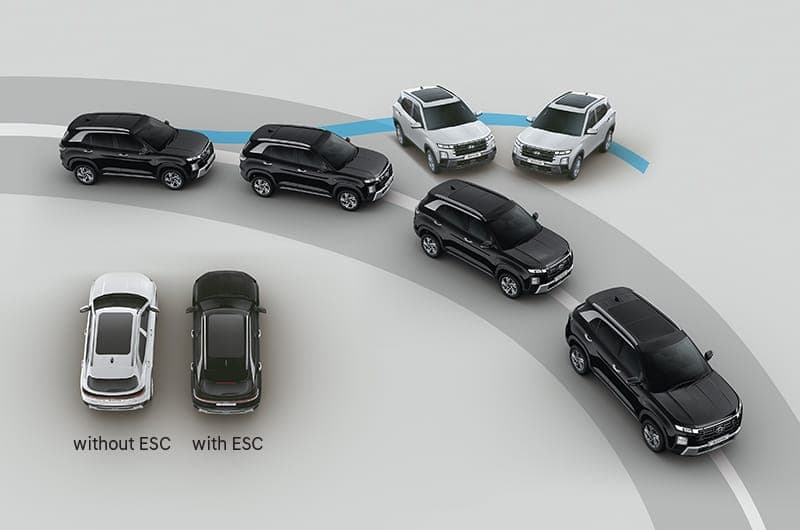 Electronic Stability Control (ESC)