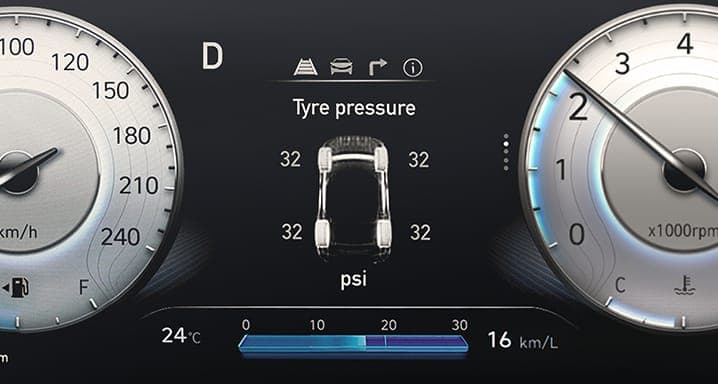 Speed Limiting Function (80 kmph)