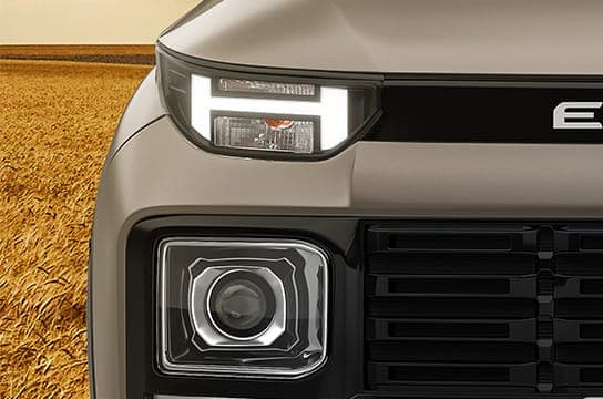 Projector headlamps (Bi-function)